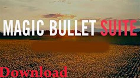 Magic bullet suite 12 free download